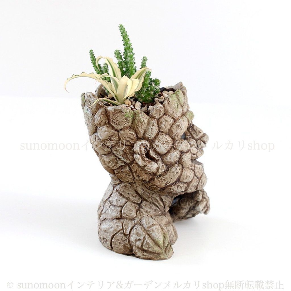 チャック・スペザーノ博士の癒し大全 チャック・スペザーノ博士の癒し