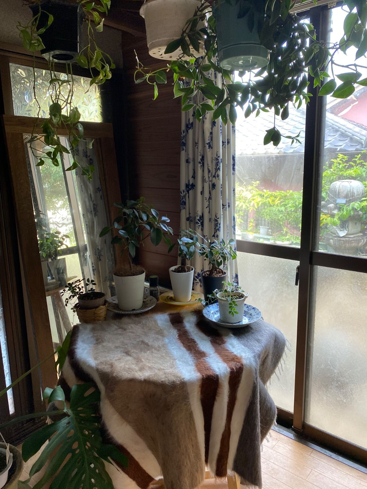 是非手に入れてください