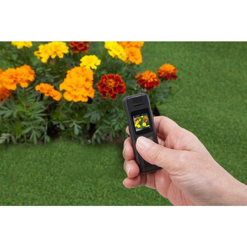 未開封 ファミリー