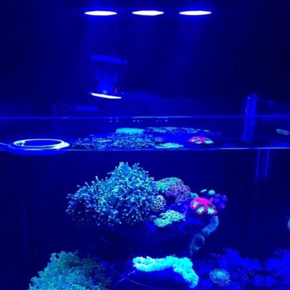 マックススペクト海水魚、サンゴ用LEDライト　美品 サンゴ 海水魚 LED照明 【公式通販】