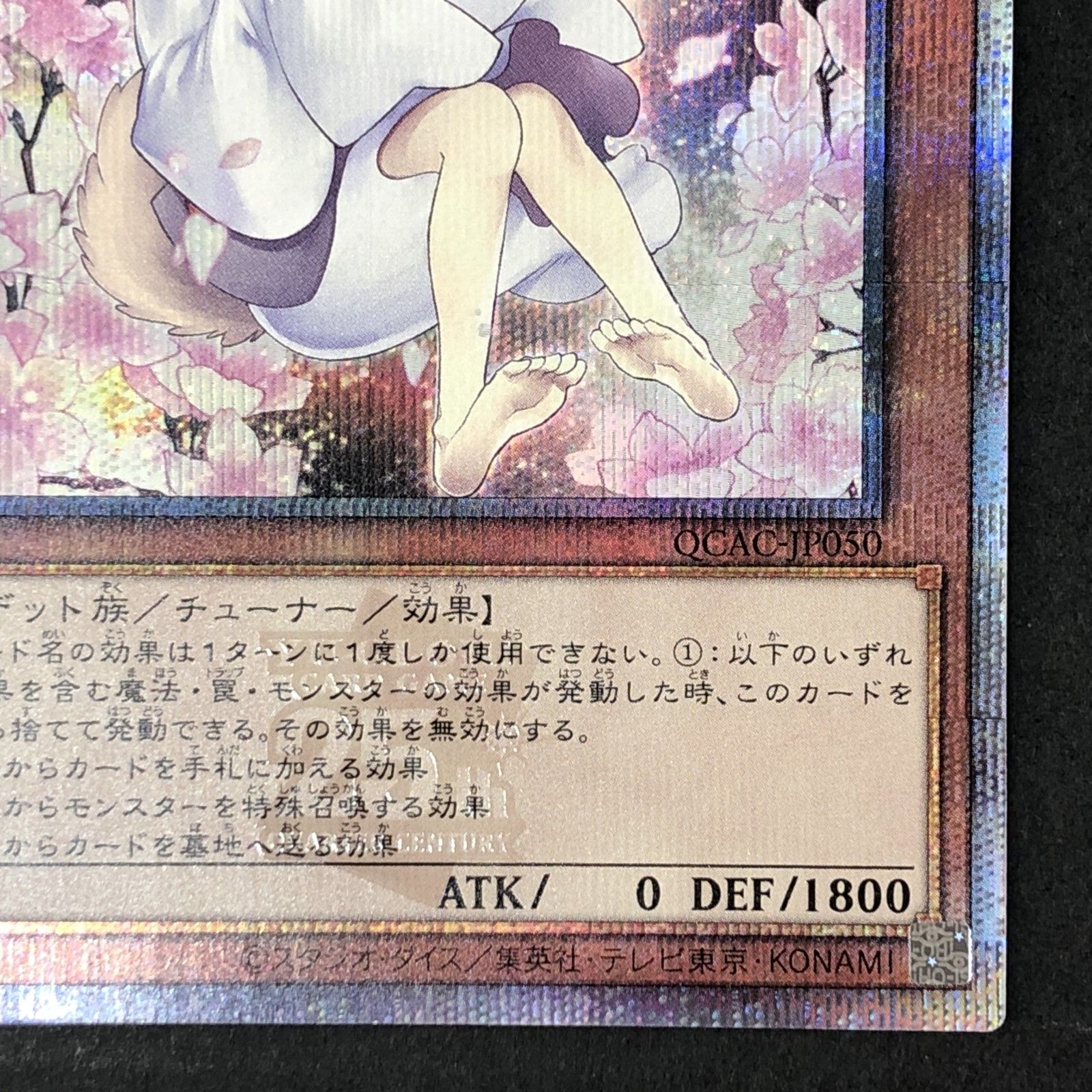 遊戯王❕シルヴィア❕ルシエラ－ゴ❕レジーナ❕クオシク 騎士皇アークシーラ(25thレア) | クォーターセンチュリー