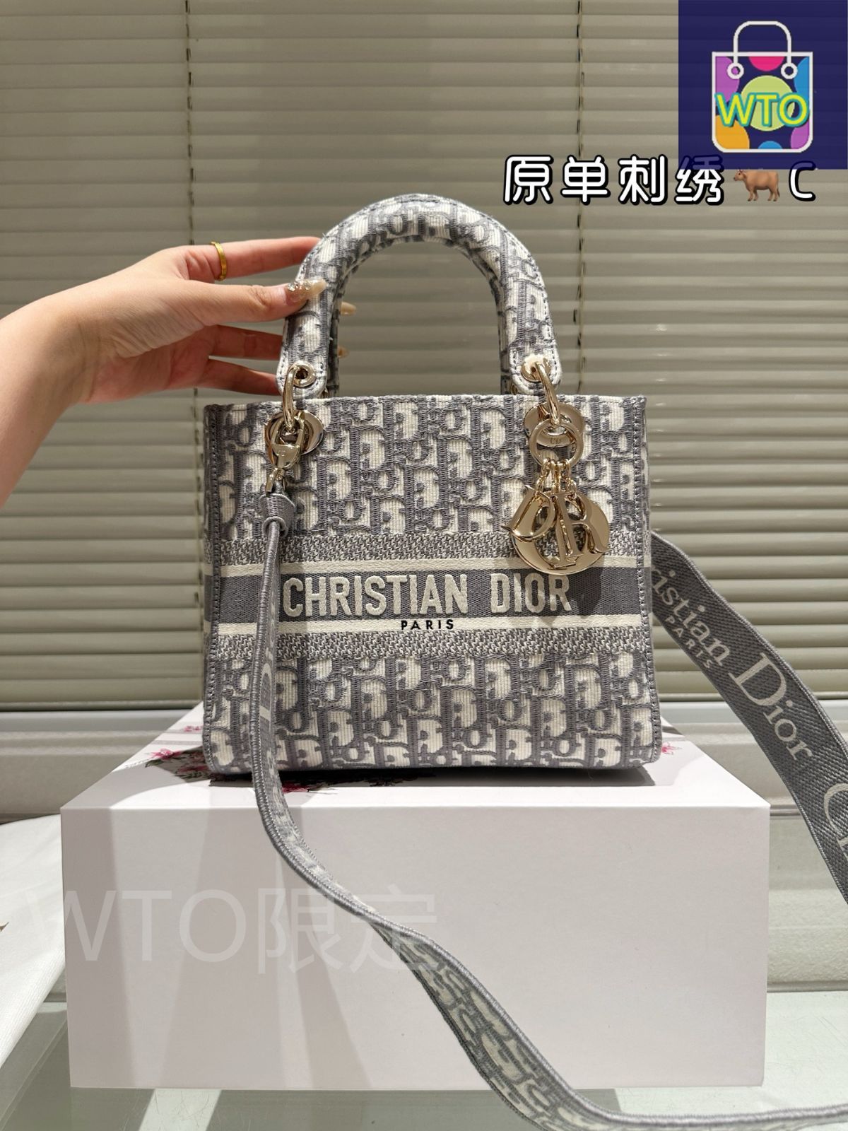 今日WTO】Dior ディオール エンブロイダリー ラディーバッグ