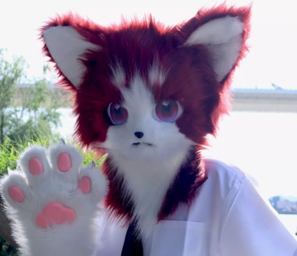 着ぐるみヘッド 犬 NO.299 グレー 全頭ヘッド ケモノ ファー