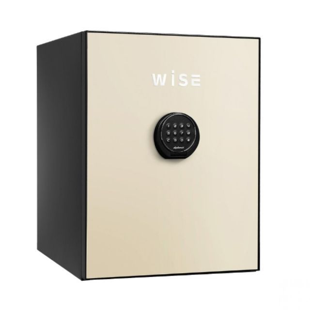 WiSE 金庫 クリーム ＷＳ５００ＡＬＣ