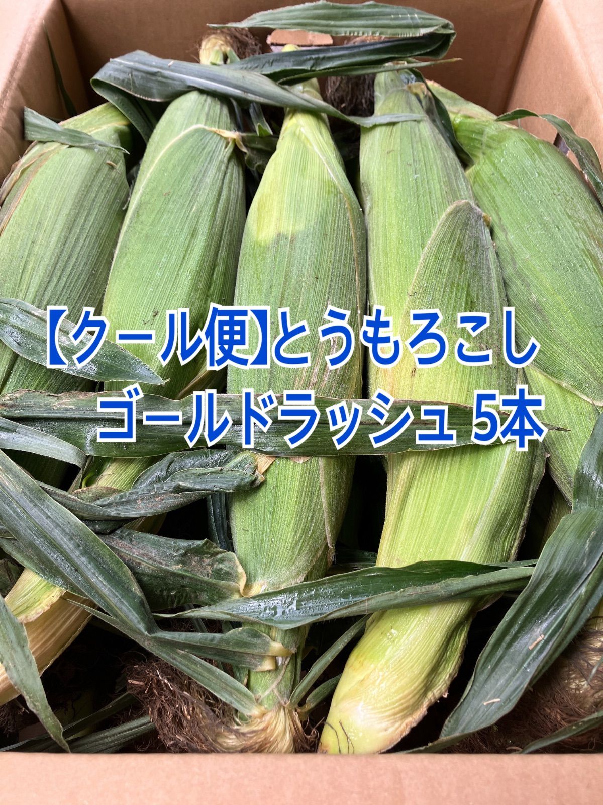てぃて・クール便１３本５㎏・愛知県・ゴールドラッシュ クール便】とうもろこし ゴールドラッシュ 5本 - メルカリ