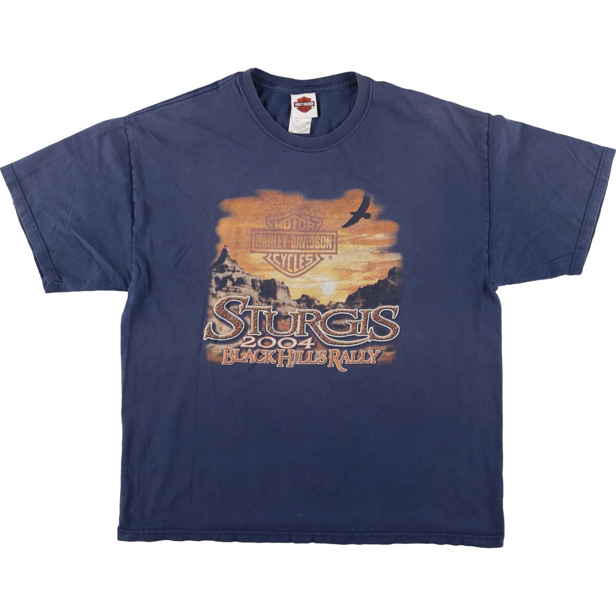 古着 00年代 ハーレーダビッドソン Harley-Davidson Hanes ヘインズ モーターサイクル バイクTシャツ USA製 メンズXL/eaa456129