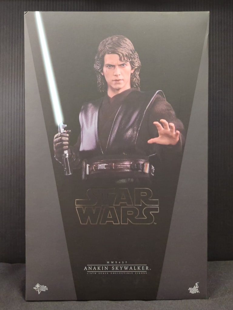 HOTTOYS MOVIE MASTERPIECE ANAKIN SKYWALKER (通常版) MMS437