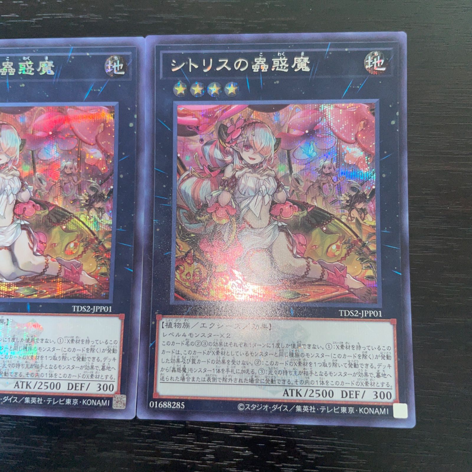 PSA10 シトリスの蟲惑魔 SD45-JPP01 シークレット 遊戯王 61MAZ8XqfdL._AC_SY200_QL15_.jpg