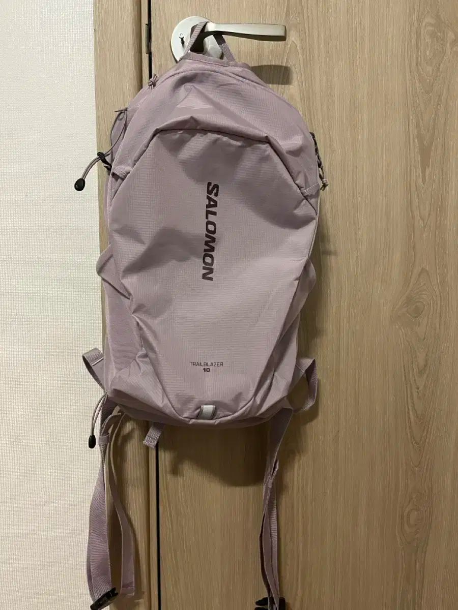 トレイルブレーザー 10