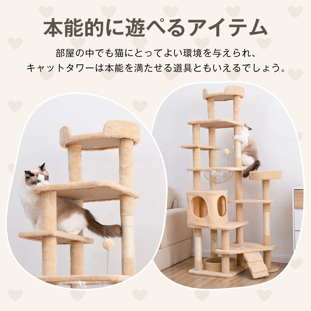 多頭飼い対応
