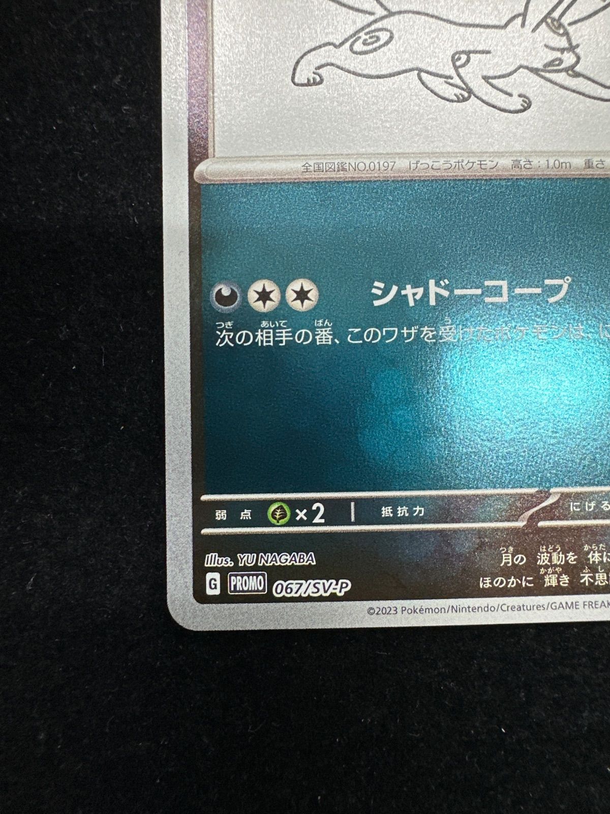 ブラッキー(YU NAGABA)【P】{067/SV-P} [SV-P] Amazon.co.jp: ブラッキー(YU NAGABA)【P】(067/SV-P) ポケモン