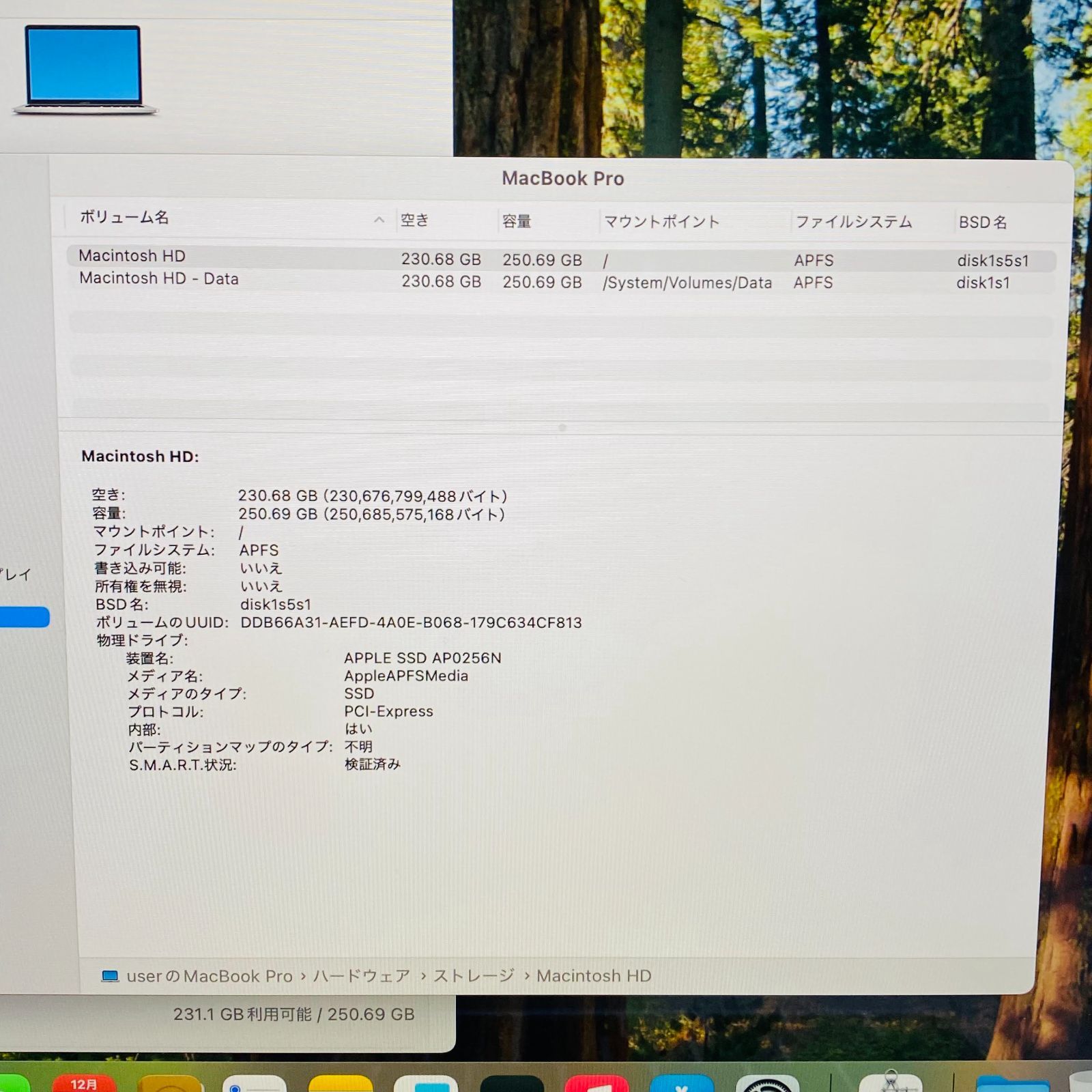 初期化済み 美品 MacBook Pro 13-inch 2019 1.4GHz クアッドコア