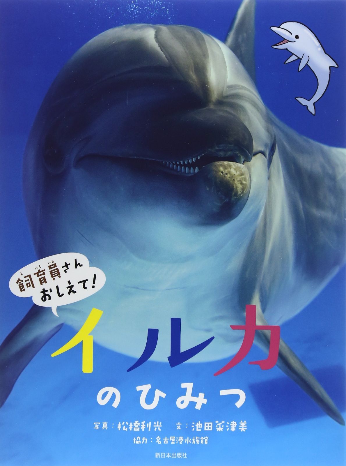 イルカのひみつ (飼育員さんおしえて!)