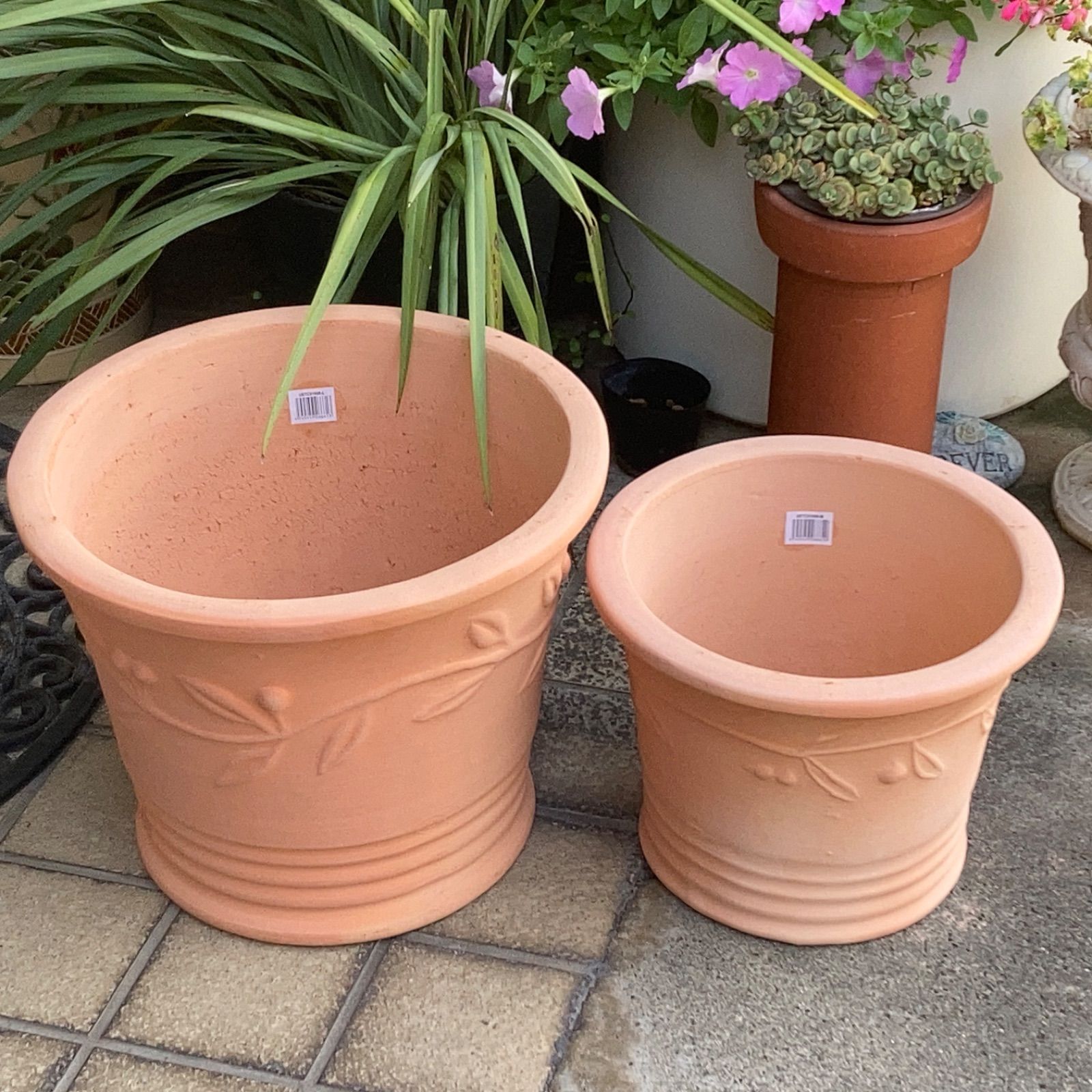 テラコッタ鉢 植木鉢 素焼き鉢 3個 黄色 オリーブ 植物柄 ガーデン雑貨