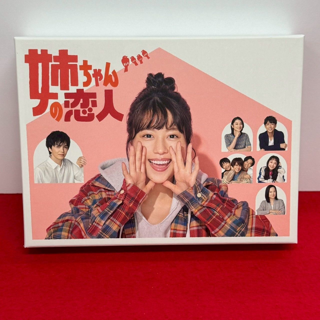 ●姉ちゃんの恋人 DVD-BOX チャレンビー DVD Blu-ray