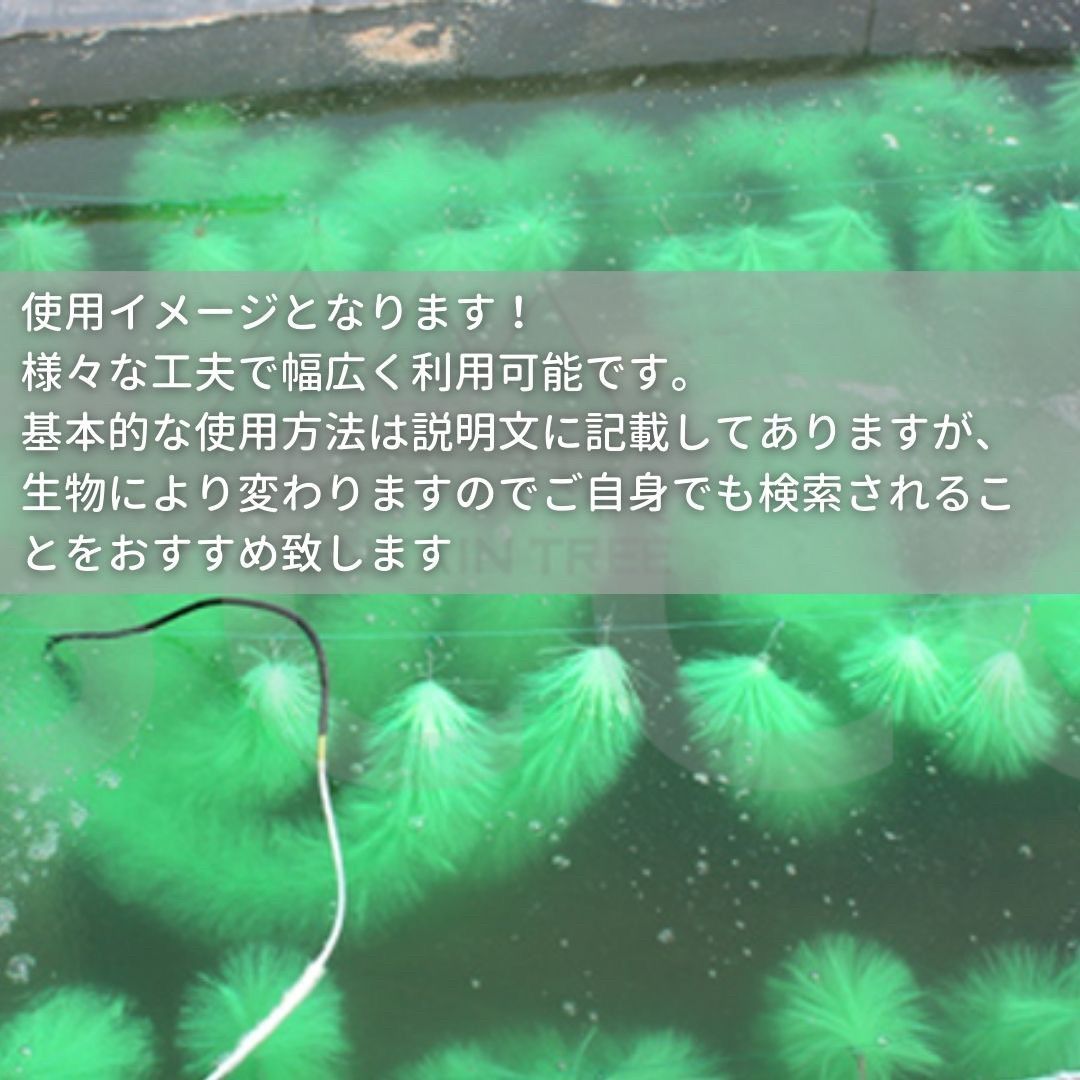 養殖