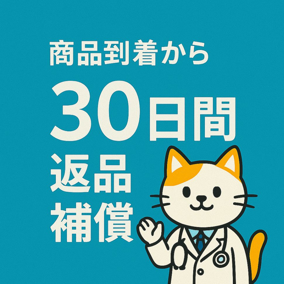 ザ マスカッツ~ハリウッドからこんにちは~ / 恵比寿マスカッツ