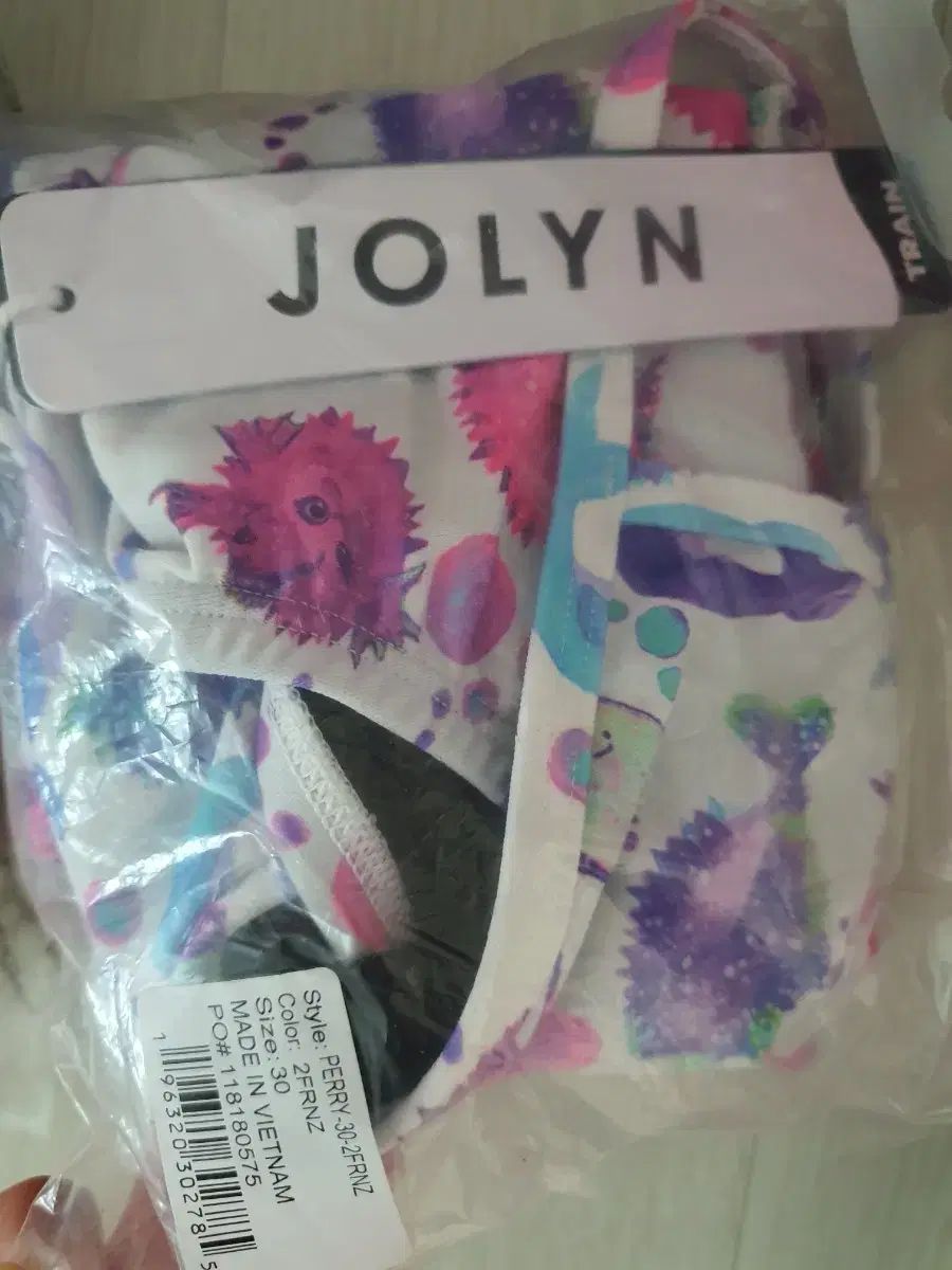ミシシに到着