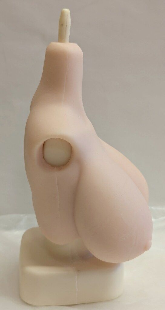 ラジカル ぴーち パイぷらす DDdy版 フレッシュ