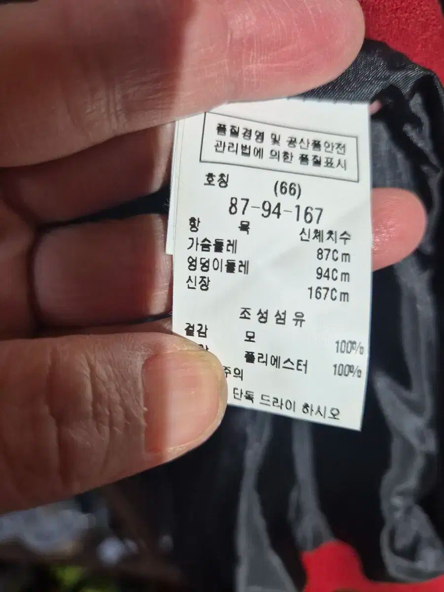 赤