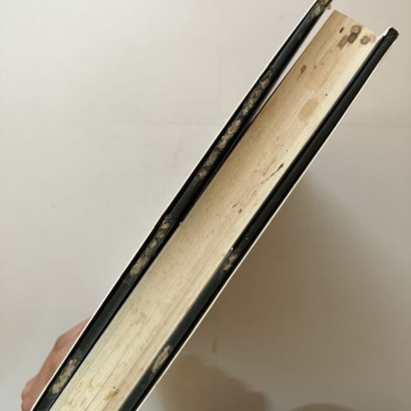 写真集 サムハスキンス SAM HASKINS「FASHION ETCETERA サム・ハスキンス写真集 Sam Haskins : fashion etcetera 発行