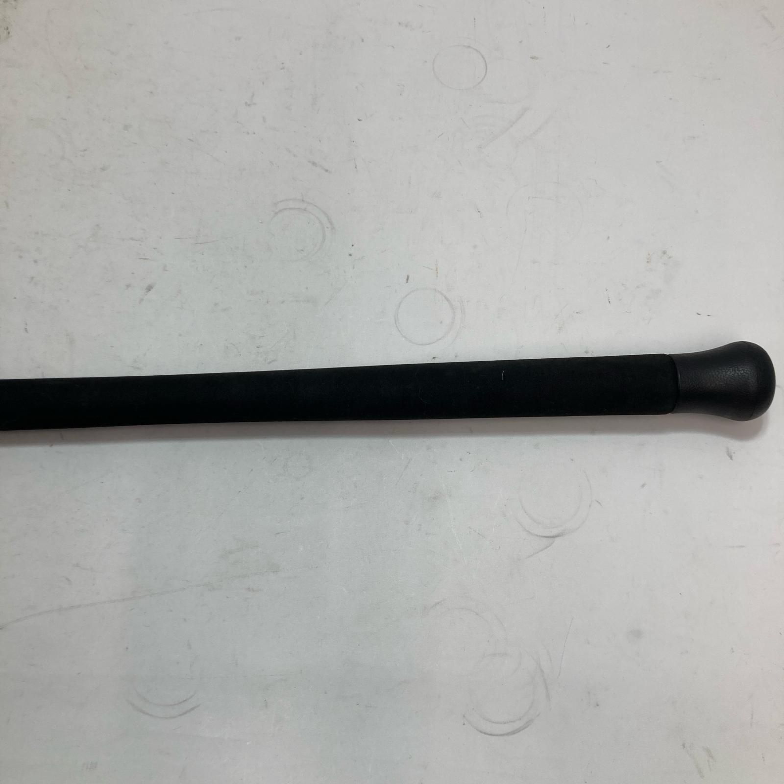 ルアーロッド ファナティックジギング