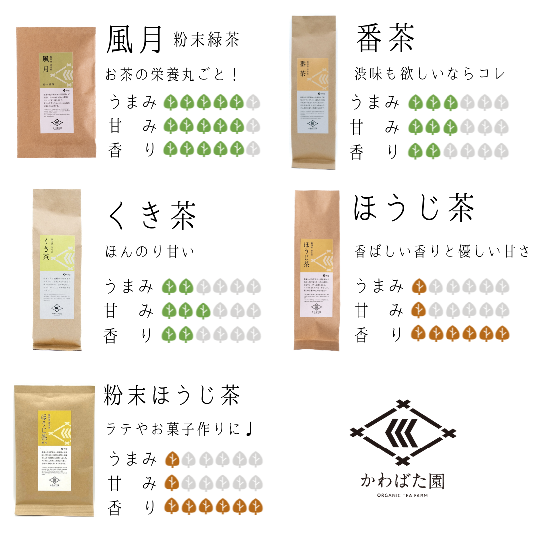 2024 新茶【農薬・化学肥料不使用】煎茶ティーバッグ やぶきた 15パック
