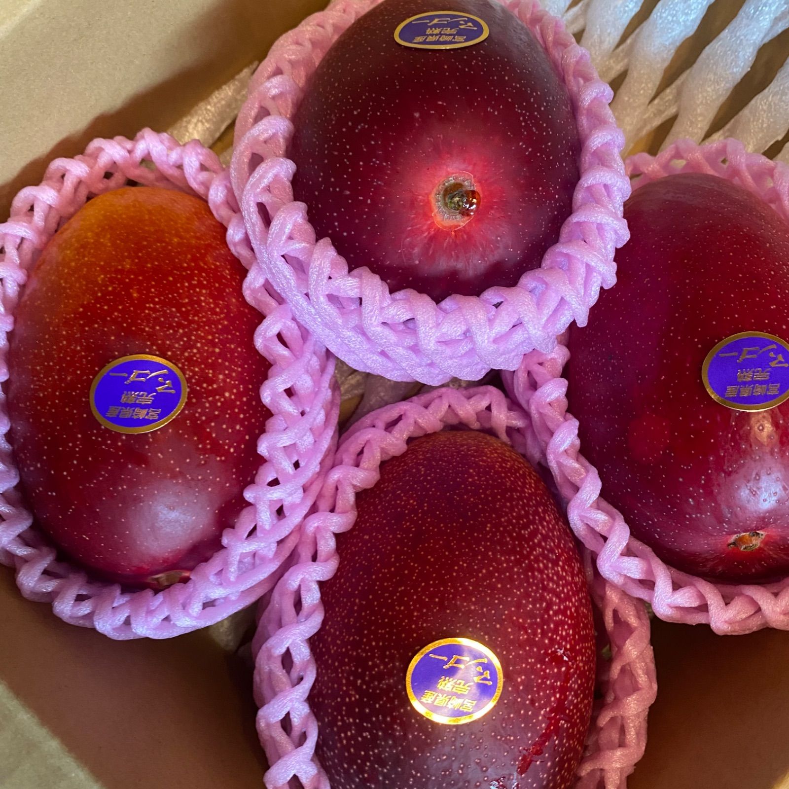 たま@サブレ】 オンライン 様 専用