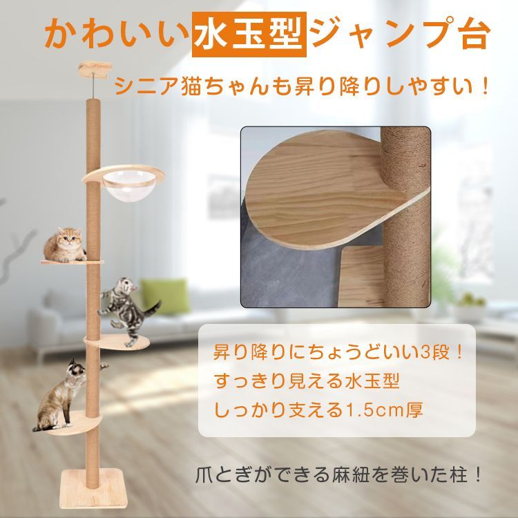 ステップ