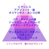 アロマオイル 日本版