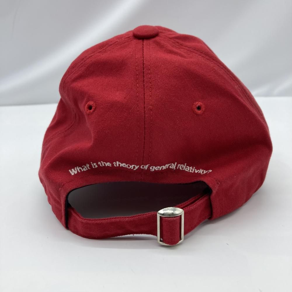 Amazon.co.jp: 即完売GADID ANONIEM キャップ JUDE RED