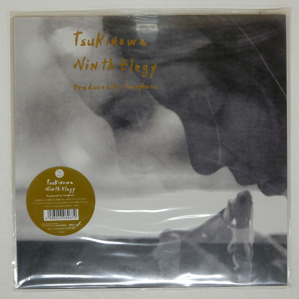 新品!レア!TSUKI NO WA『Ninth Elegy』 レコード Tsuki No Wa - Ninth Elegy (LP) – Meditations