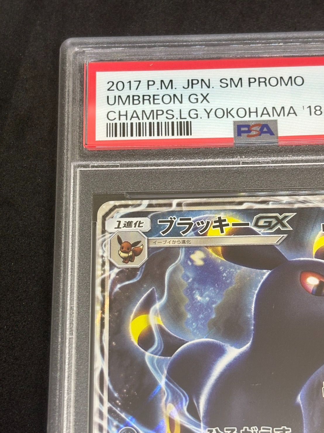 ブラッキーGX プロモ 【チャンピオンズリーグ2018 】125/SM-P