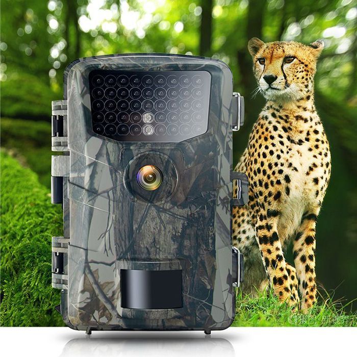 人気激安Blazevideo トレイルカメラ 人感センサー 防犯カメラ 野生動物監視カメラ 120°検知範囲 一年間品質保証 日本語取扱説明書付き その他