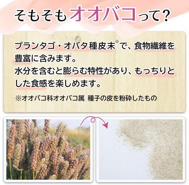 井藤漢方製薬 オオバコダイエット約62日 500g 香料 着色料 保存