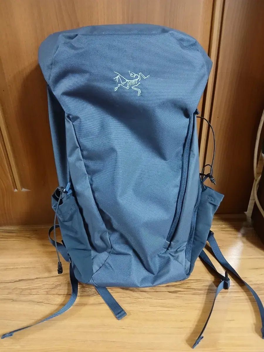 ARC TERYX アークテリクス バックバッグ バッグ