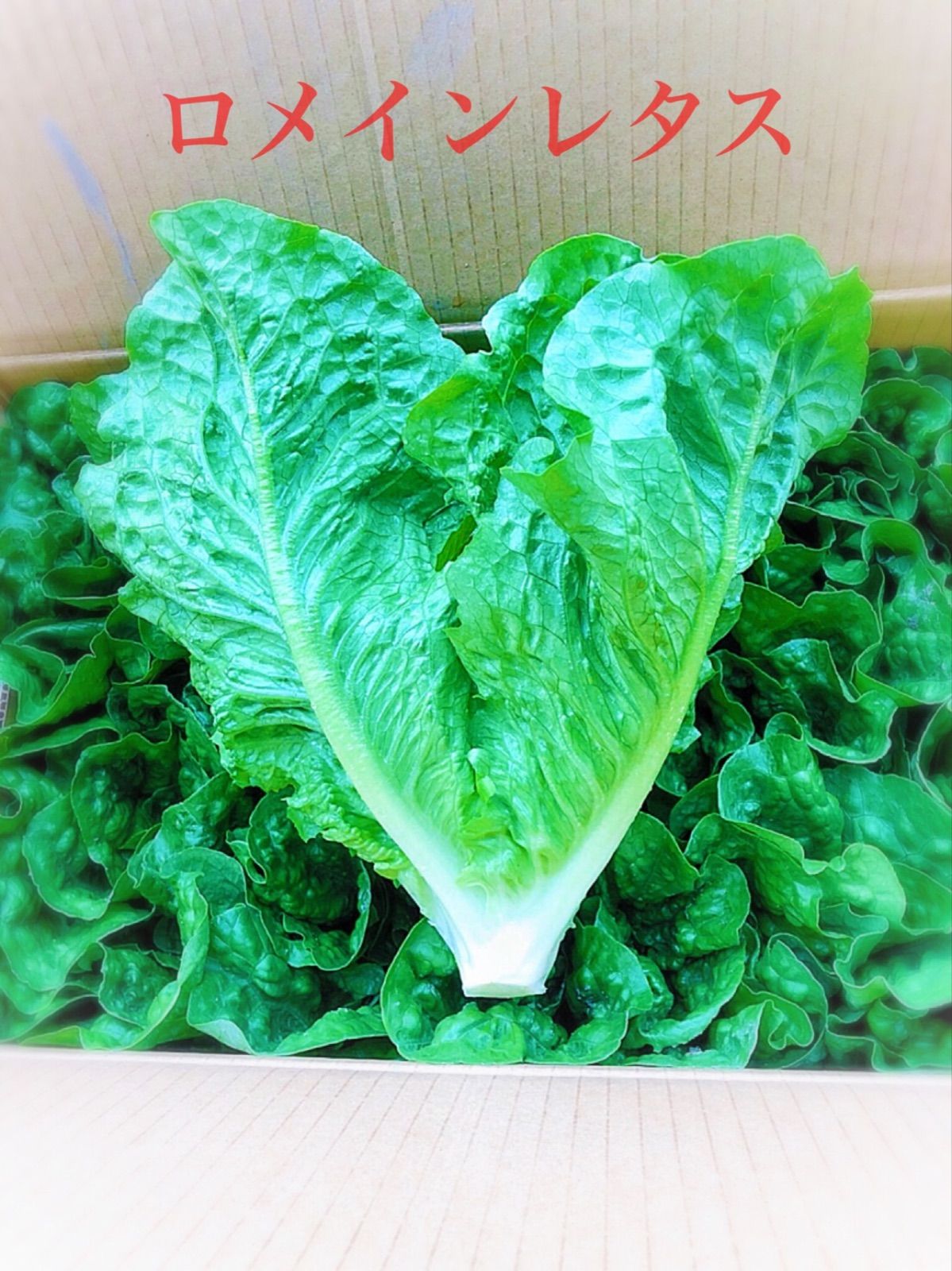 減農薬　✳️ロメインレタス　メルカリ　九州　福岡野菜セット