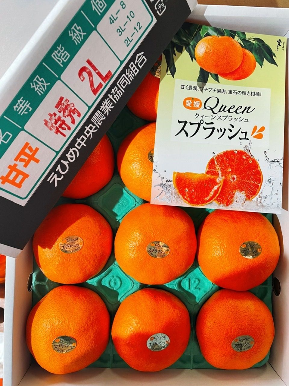 超希少！愛媛県産 クイーンスプラッシュ【甘平：特秀品】2L（12玉）みかんキング - メルカリ