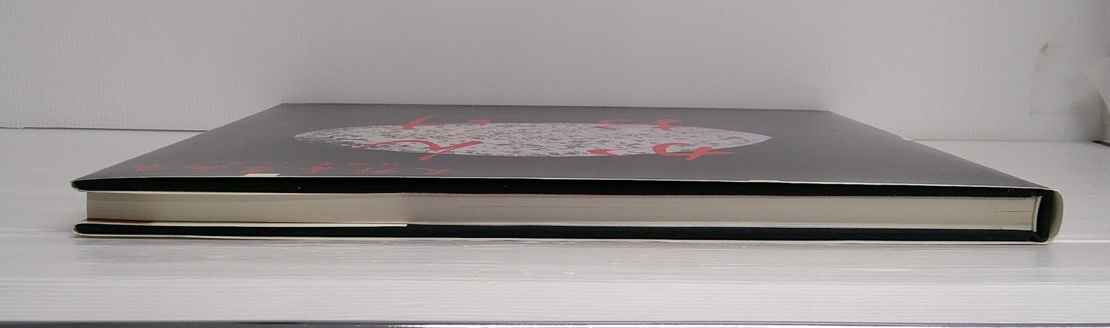 開封品】天野喜孝画集 吸血鬼ハンターD かんおけ【ポスター欠品