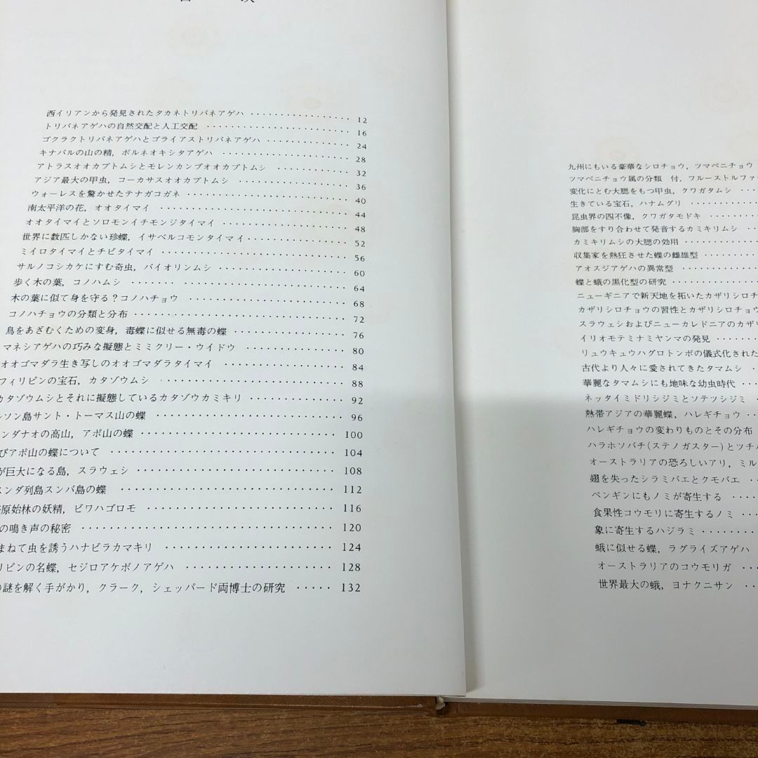 ▲01)【同梱不可】図説世界の昆虫 1/東南アジア編 1/阪口浩平/保育社/昭和54年発行/A 01)【同梱不可】図説世界の昆虫 1/東南アジア編 1/阪口浩平/保育