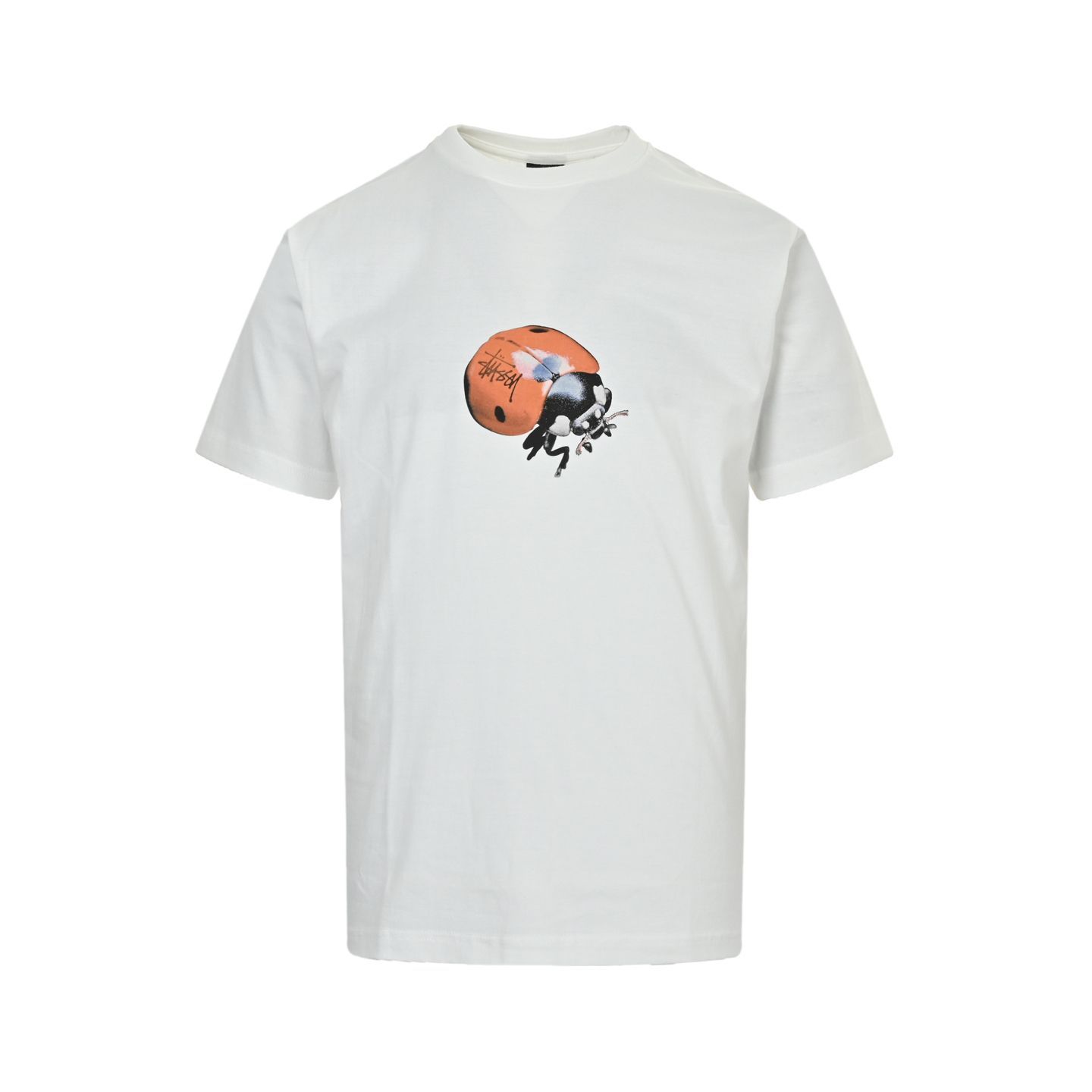 今日 Stussy | スタッシー 23ss テントウムシアルファベット T シャツ-2
