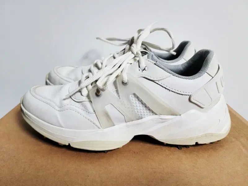 FootJoy フットジョイ レディースゴルフシューズ 230 s34