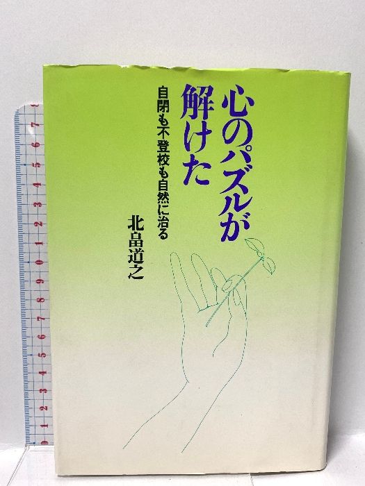 心のパズルが解けた: 自閉も不登校も自然に治る 朝日新聞出版 北畠 道之