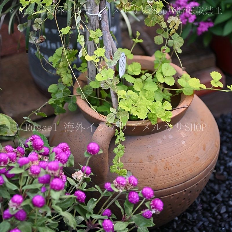 フラワー ポット