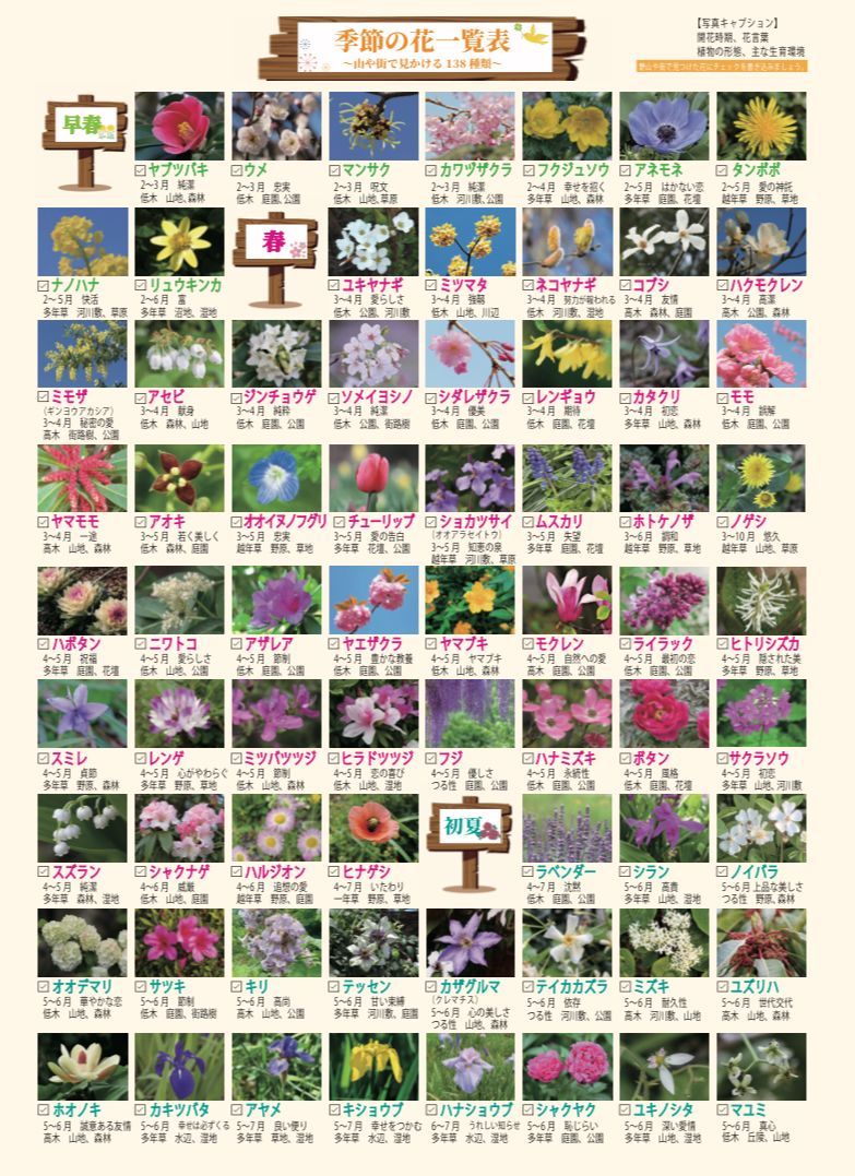季節の花一覧表 A4光沢紙 両面カラー プレゼントに - メルカリ