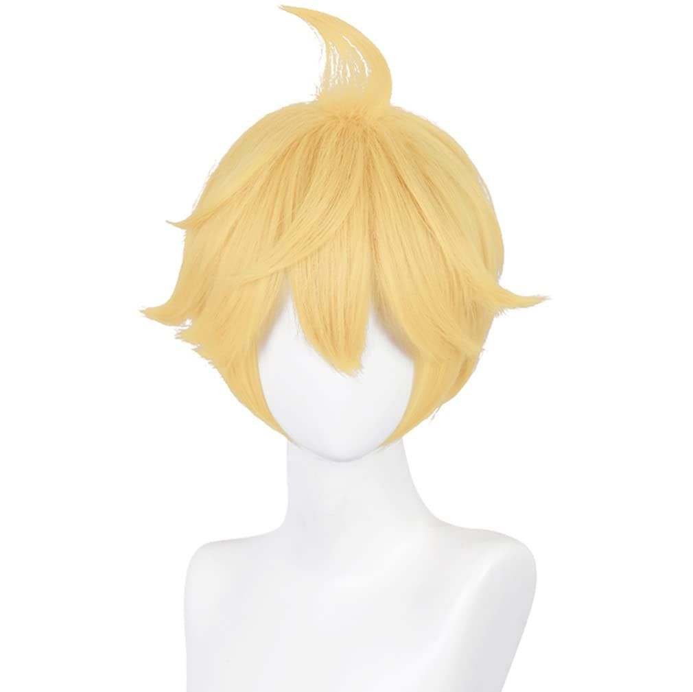 カツラ ウィッグ Amazon.co.jp: LAOBAO コスプレ ウィッグ 癒月ちょこ かつら