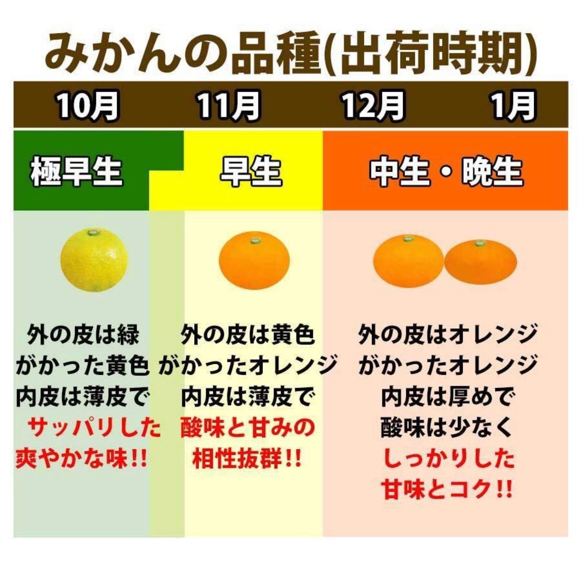 (12月中旬頃発送予定商品)  激レア小粒直径4.5cm前後 和歌山有田みかん 2kg