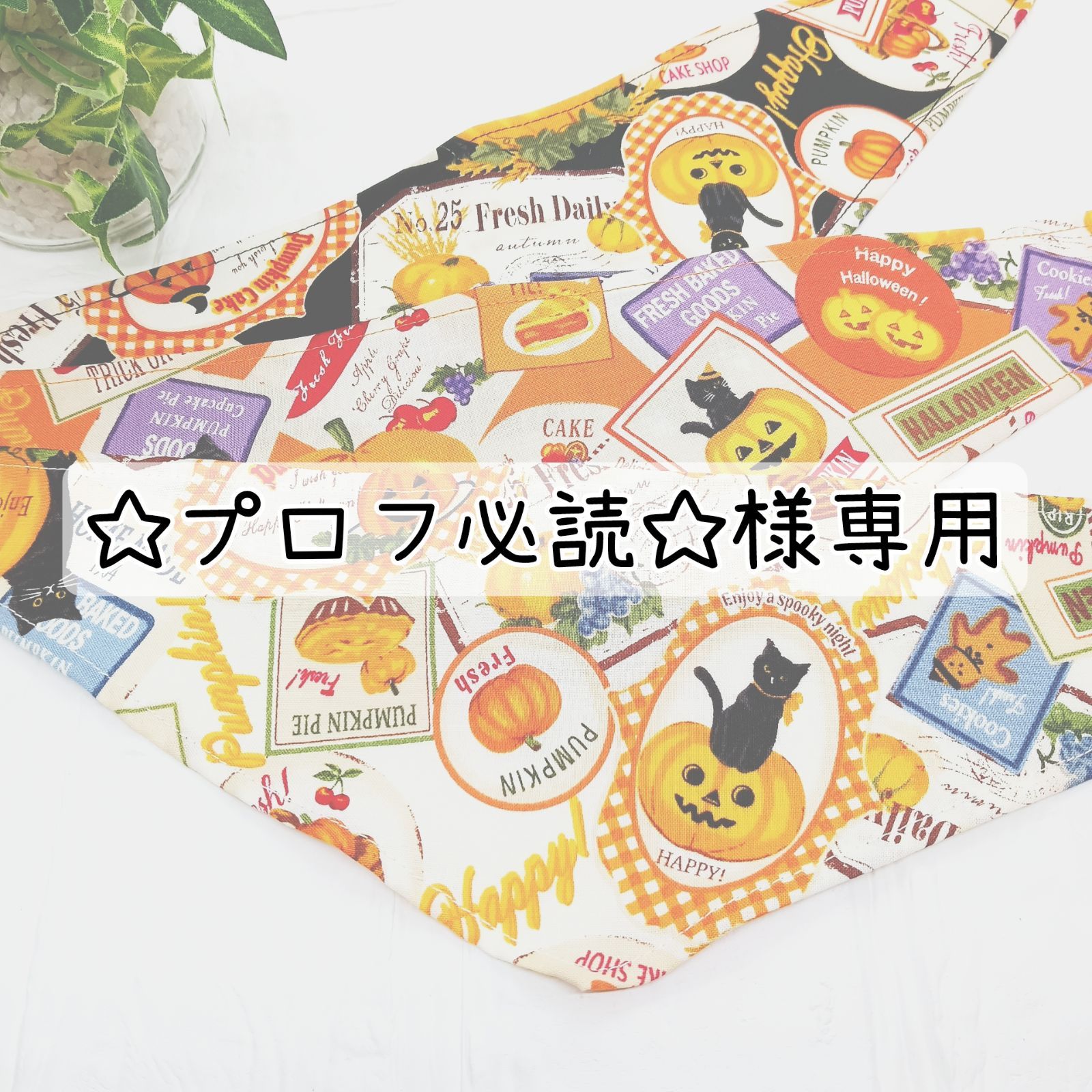 わんこ@プロフ必読 様 専用 わんこ@プロフ必読 様 専用