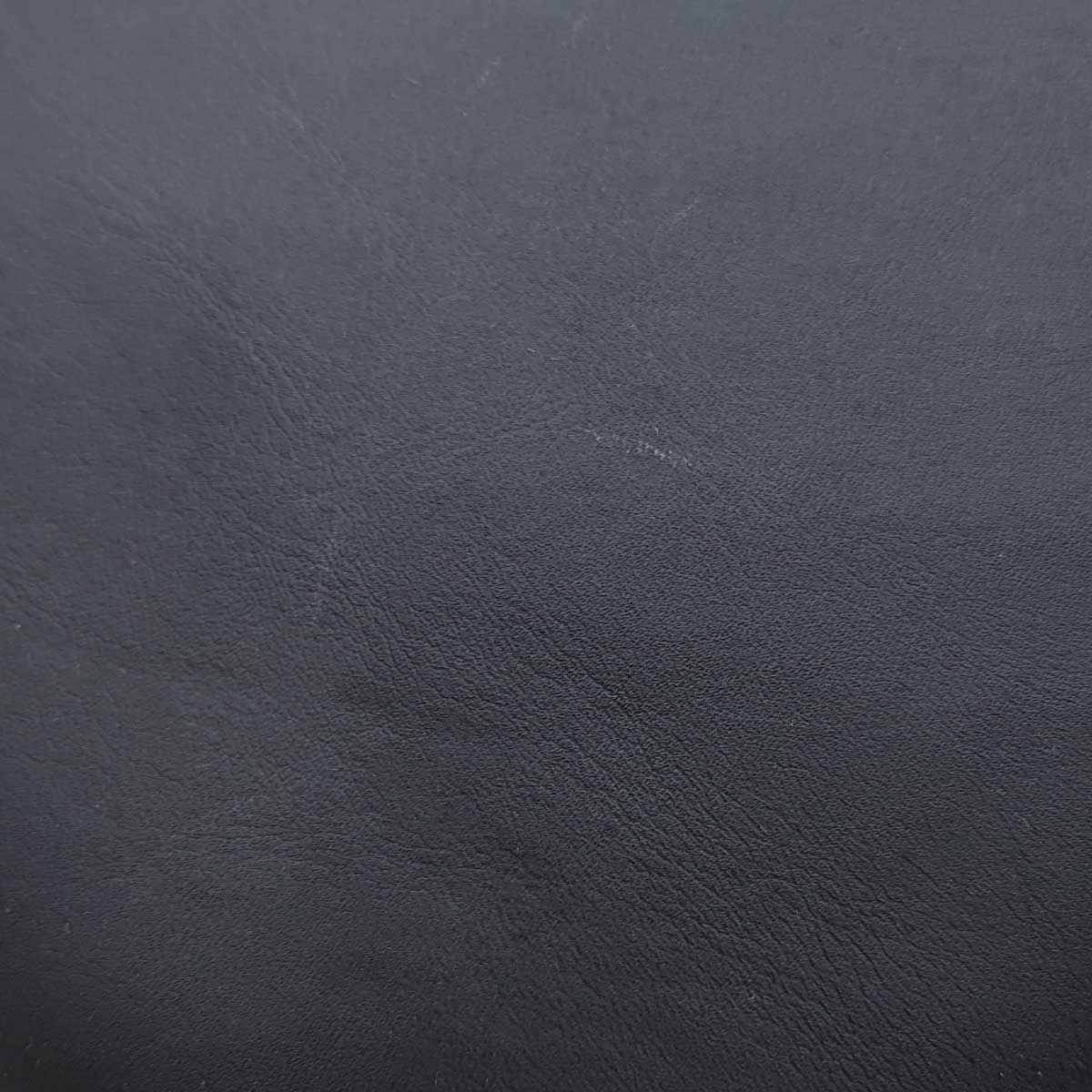 フェノム パンチ