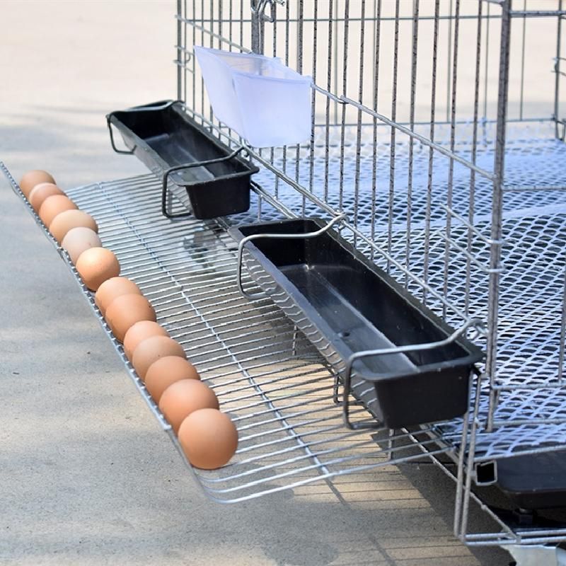 世界初！日本先行販売　ペット用テロメアのサプリ　普段のご飯に混ぜるだけ　3缶 世界初！日本先行販売 ペット用テロメアのサプリ 普段のご飯に